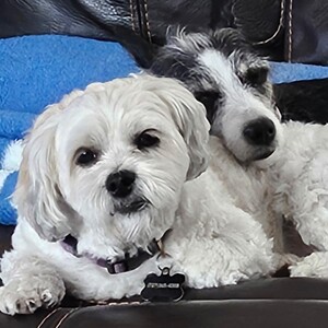 Fundraising Page: Julie Hunnes